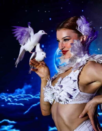 Brighton: Cabaret Carousel Show Ticket - Tickets, seating, and the practical reality of a 4-hour night