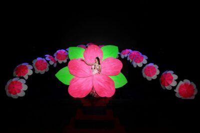 Chiang Mai: Siam Dragon Cabaret Show with Optional Transfer - VIP vs Standard seats in a 400-seat theatre