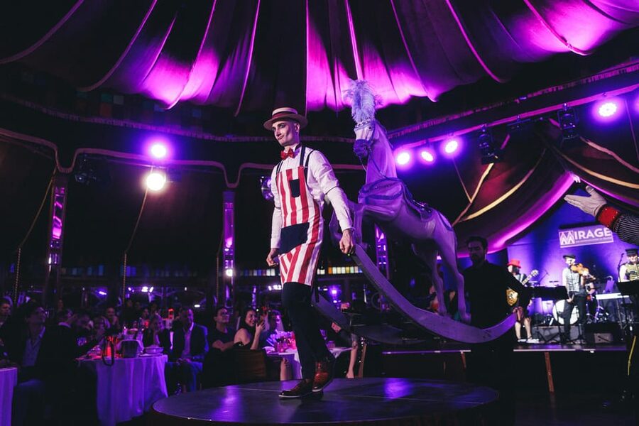 Mirage Vienna: Burlesque Spectacular – Dinner Show - Who this works for (and who should choose another plan)