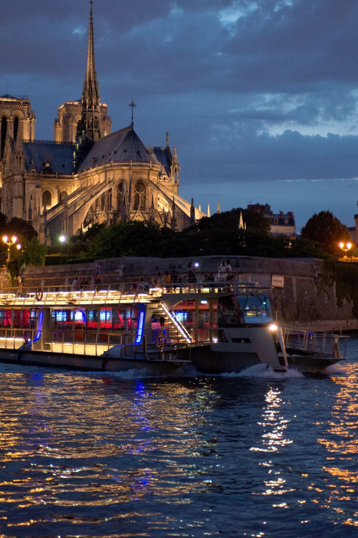 Paris: Eiffel Tower Dinner Cruise with a Moulin Rouge Show - Moulin Rouge Féerie: the show, the crowds, and seat reality